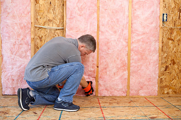 Best Wall Insulation Installation  in Williamstown, KY